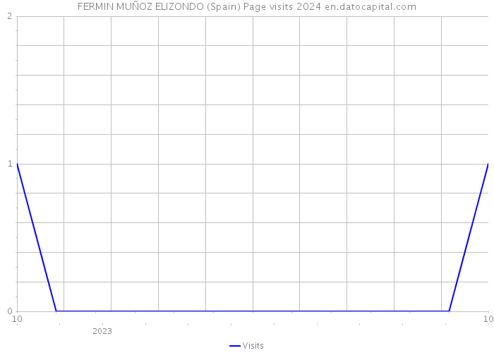 FERMIN MUÑOZ ELIZONDO (Spain) Page visits 2024 