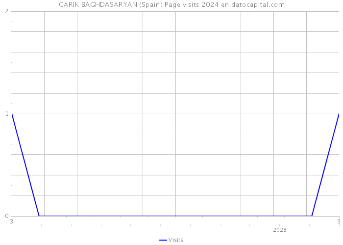 GARIK BAGHDASARYAN (Spain) Page visits 2024 