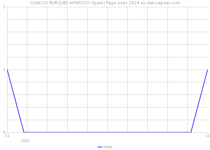 IGNACIO BURGUES APARICIO (Spain) Page visits 2024 