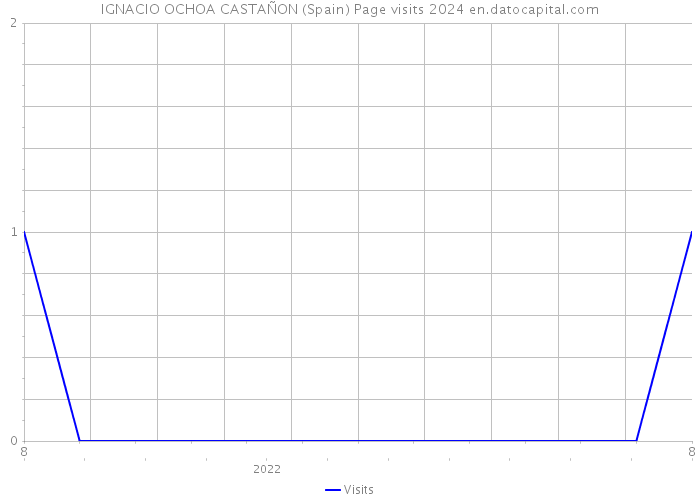 IGNACIO OCHOA CASTAÑON (Spain) Page visits 2024 