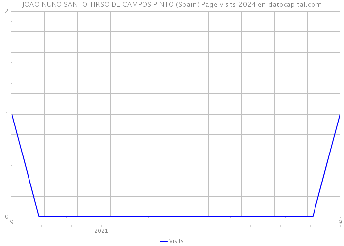 JOAO NUNO SANTO TIRSO DE CAMPOS PINTO (Spain) Page visits 2024 