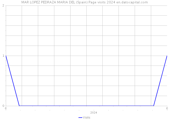 MAR LOPEZ PEDRAZA MARIA DEL (Spain) Page visits 2024 