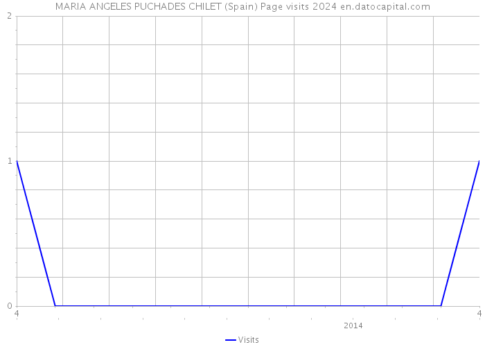 MARIA ANGELES PUCHADES CHILET (Spain) Page visits 2024 