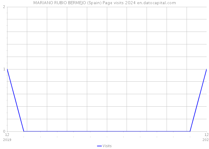 MARIANO RUBIO BERMEJO (Spain) Page visits 2024 