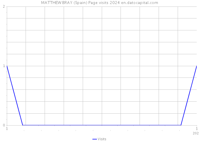 MATTHEW BRAY (Spain) Page visits 2024 