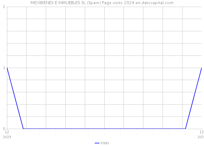 MEXIBIENES E INMUEBLES SL (Spain) Page visits 2024 