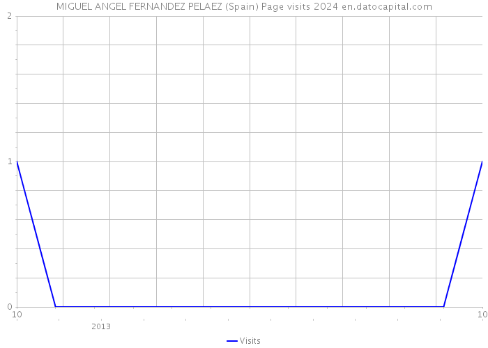 MIGUEL ANGEL FERNANDEZ PELAEZ (Spain) Page visits 2024 