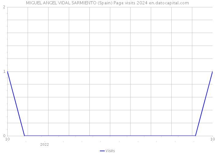 MIGUEL ANGEL VIDAL SARMIENTO (Spain) Page visits 2024 