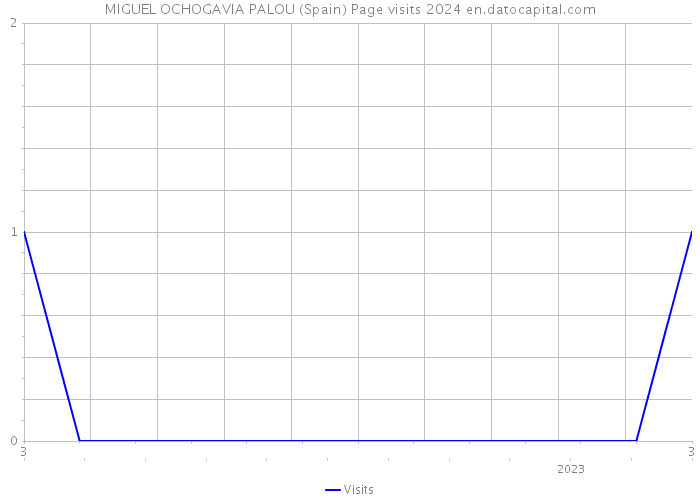 MIGUEL OCHOGAVIA PALOU (Spain) Page visits 2024 