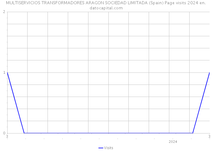 MULTISERVICIOS TRANSFORMADORES ARAGON SOCIEDAD LIMITADA (Spain) Page visits 2024 