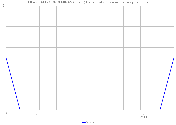 PILAR SANS CONDEMINAS (Spain) Page visits 2024 