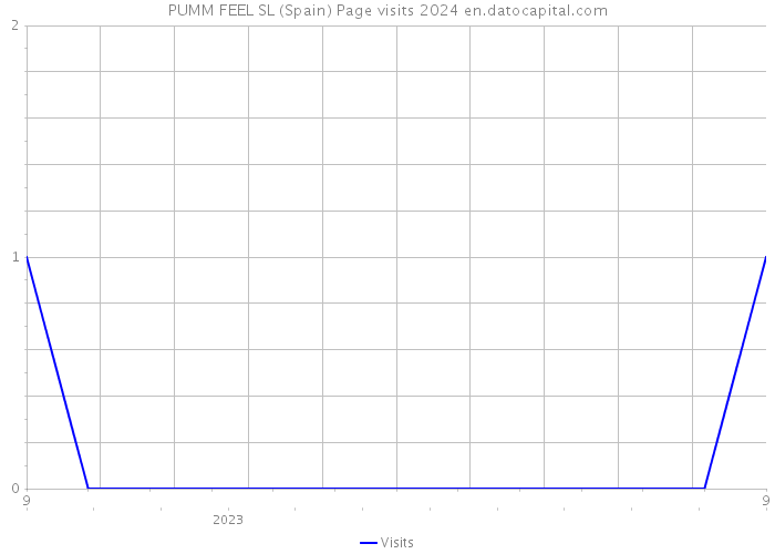 PUMM FEEL SL (Spain) Page visits 2024 