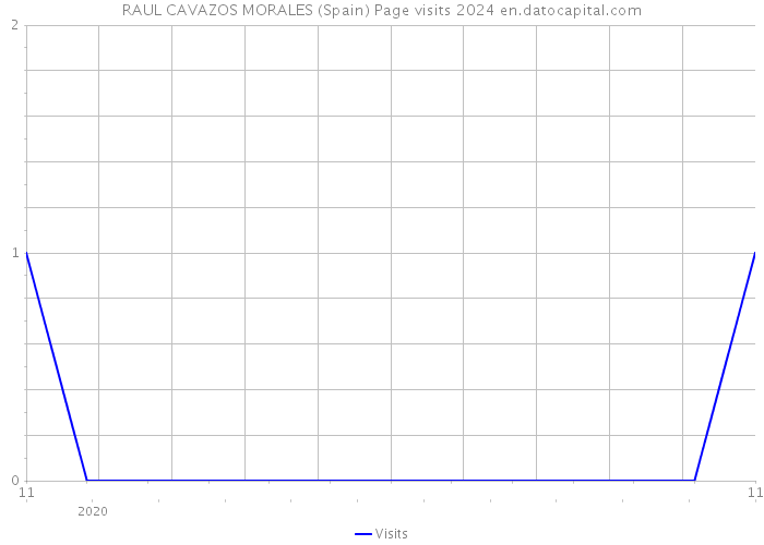 RAUL CAVAZOS MORALES (Spain) Page visits 2024 