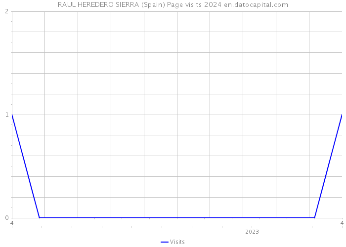 RAUL HEREDERO SIERRA (Spain) Page visits 2024 