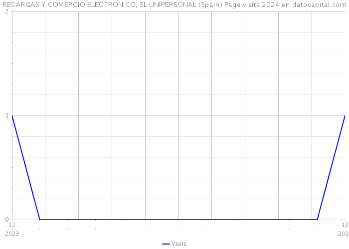 RECARGAS Y COMERCIO ELECTRONICO, SL UNIPERSONAL (Spain) Page visits 2024 