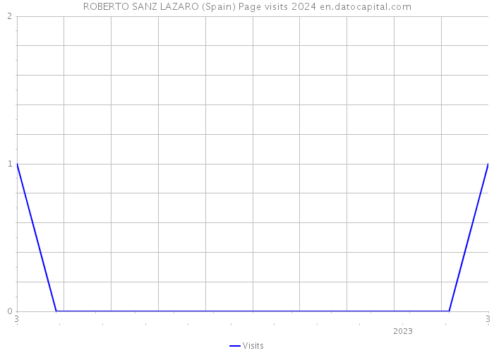 ROBERTO SANZ LAZARO (Spain) Page visits 2024 