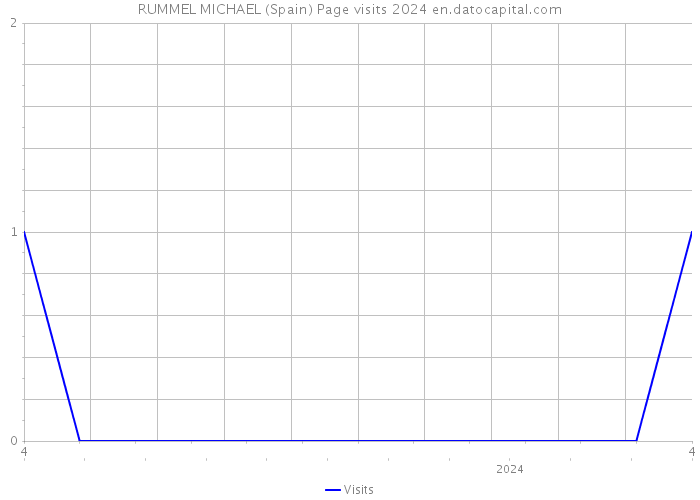 RUMMEL MICHAEL (Spain) Page visits 2024 