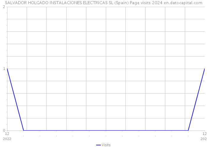 SALVADOR HOLGADO INSTALACIONES ELECTRICAS SL (Spain) Page visits 2024 