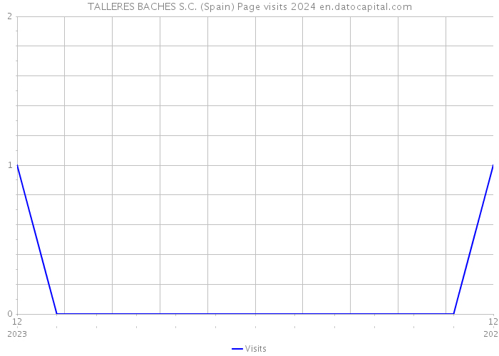 TALLERES BACHES S.C. (Spain) Page visits 2024 