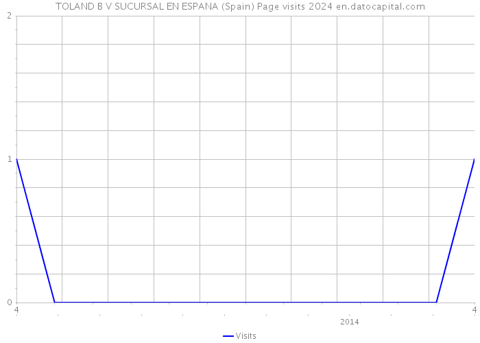 TOLAND B V SUCURSAL EN ESPANA (Spain) Page visits 2024 