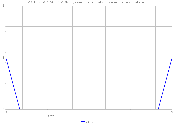 VICTOR GONZALEZ MONJE (Spain) Page visits 2024 