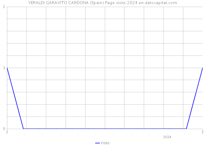YERALDI GARAVITO CARDONA (Spain) Page visits 2024 