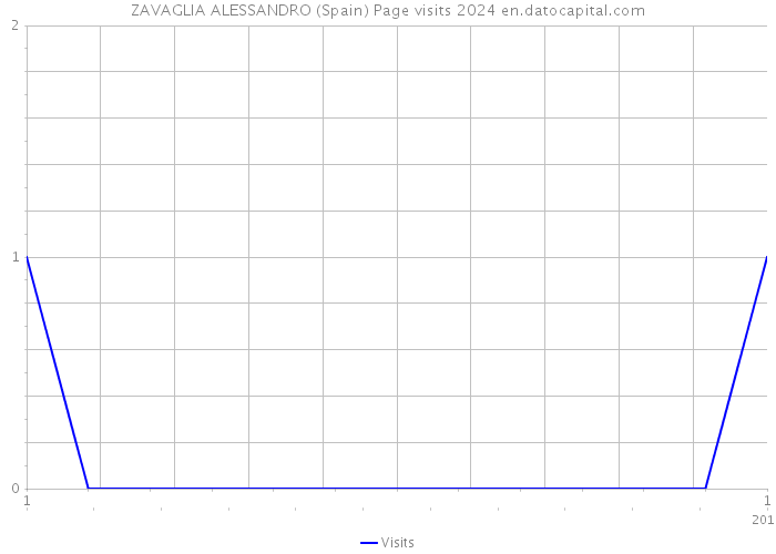 ZAVAGLIA ALESSANDRO (Spain) Page visits 2024 
