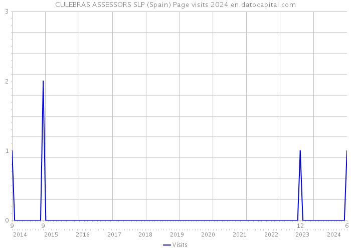 CULEBRAS ASSESSORS SLP (Spain) Page visits 2024 