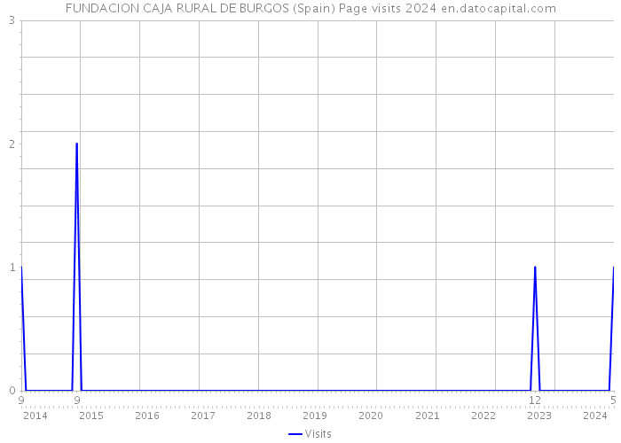 FUNDACION CAJA RURAL DE BURGOS (Spain) Page visits 2024 