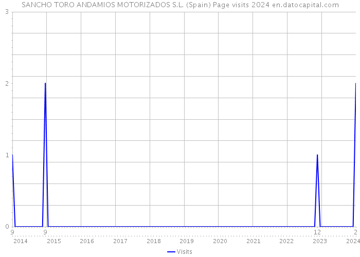 SANCHO TORO ANDAMIOS MOTORIZADOS S.L. (Spain) Page visits 2024 