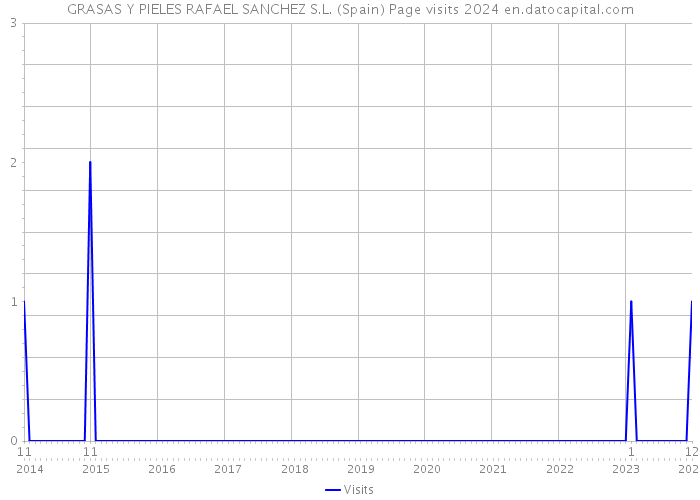 GRASAS Y PIELES RAFAEL SANCHEZ S.L. (Spain) Page visits 2024 