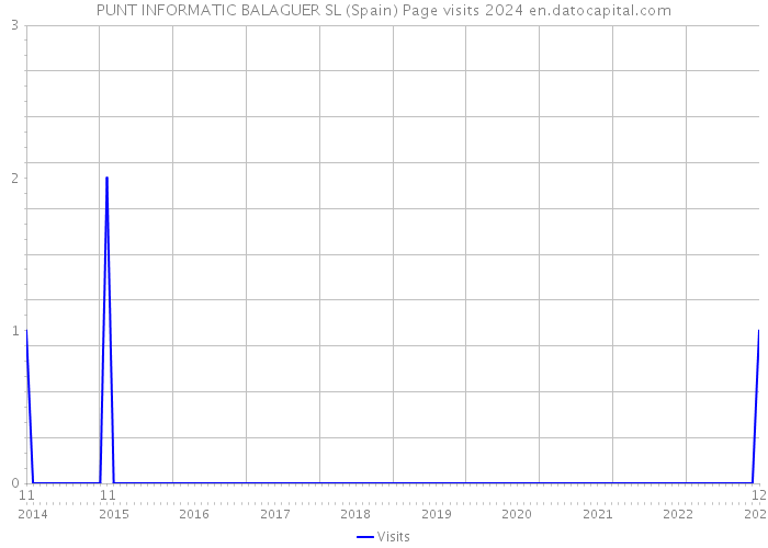 PUNT INFORMATIC BALAGUER SL (Spain) Page visits 2024 
