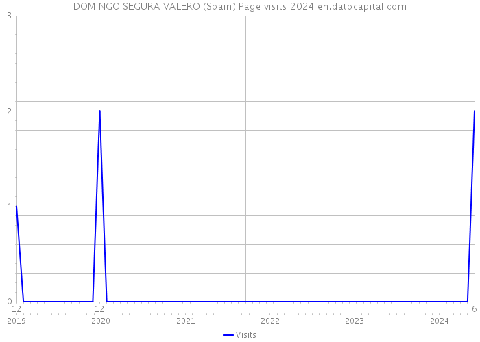 DOMINGO SEGURA VALERO (Spain) Page visits 2024 