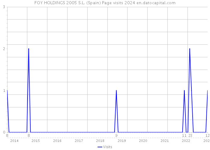 FOY HOLDINGS 2005 S.L. (Spain) Page visits 2024 