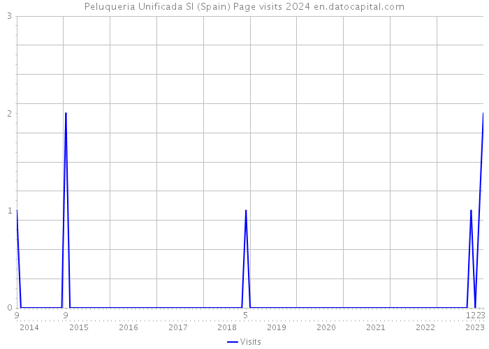 Peluqueria Unificada Sl (Spain) Page visits 2024 