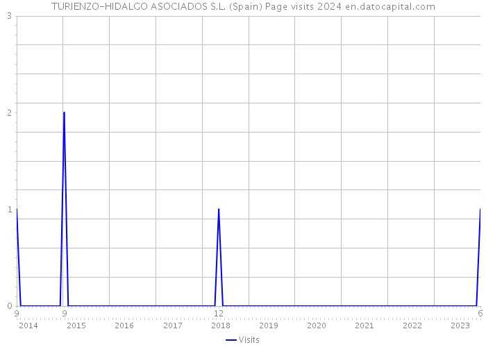 TURIENZO-HIDALGO ASOCIADOS S.L. (Spain) Page visits 2024 