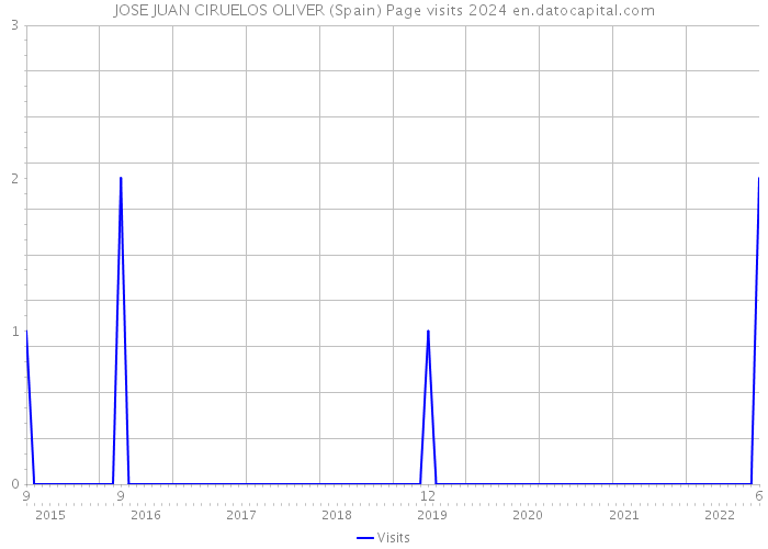 JOSE JUAN CIRUELOS OLIVER (Spain) Page visits 2024 