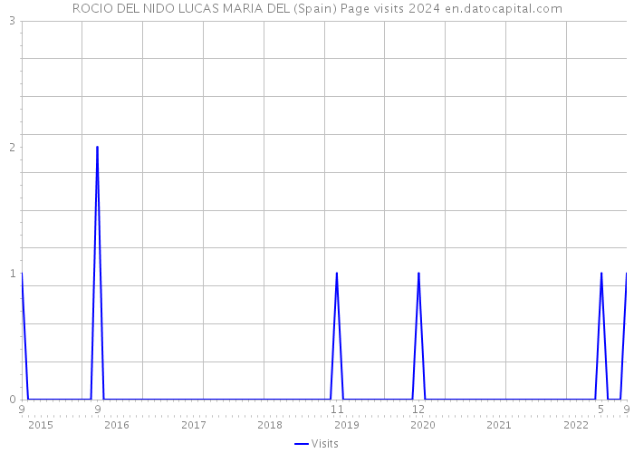 ROCIO DEL NIDO LUCAS MARIA DEL (Spain) Page visits 2024 