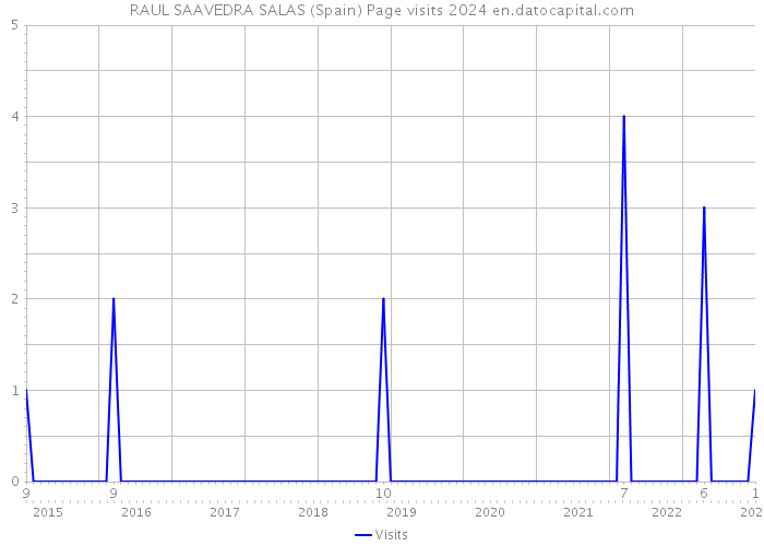 RAUL SAAVEDRA SALAS (Spain) Page visits 2024 