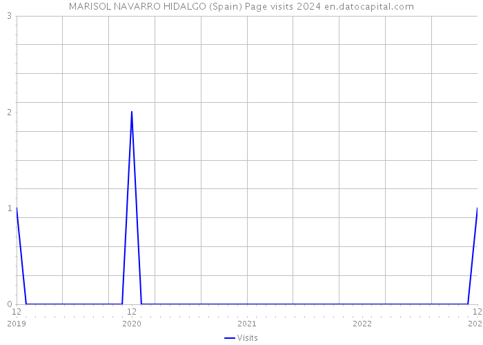 MARISOL NAVARRO HIDALGO (Spain) Page visits 2024 