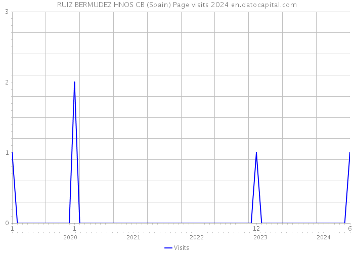 RUIZ BERMUDEZ HNOS CB (Spain) Page visits 2024 