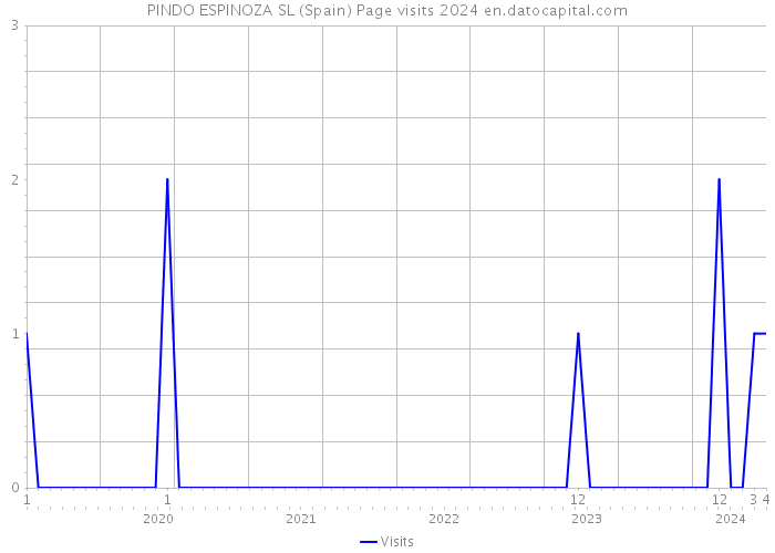PINDO ESPINOZA SL (Spain) Page visits 2024 