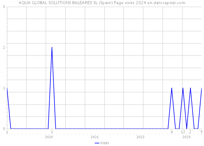 AQUA GLOBAL SOLUTIONS BALEARES SL (Spain) Page visits 2024 