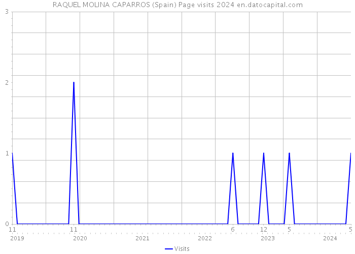 RAQUEL MOLINA CAPARROS (Spain) Page visits 2024 