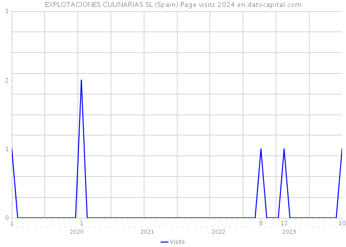 EXPLOTACIONES CULINARIAS SL (Spain) Page visits 2024 