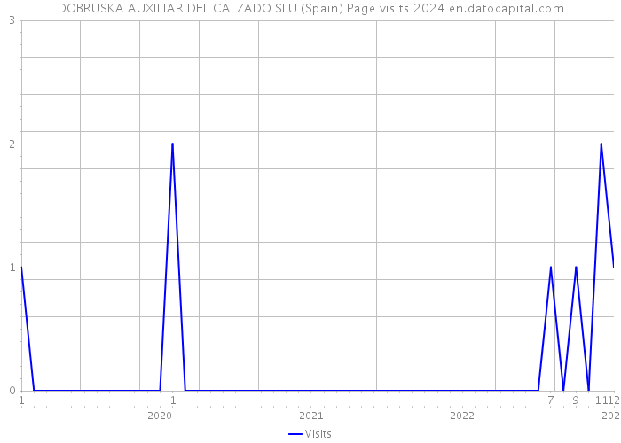 DOBRUSKA AUXILIAR DEL CALZADO SLU (Spain) Page visits 2024 