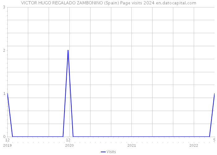 VICTOR HUGO REGALADO ZAMBONINO (Spain) Page visits 2024 
