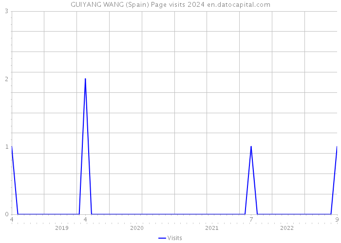 GUIYANG WANG (Spain) Page visits 2024 