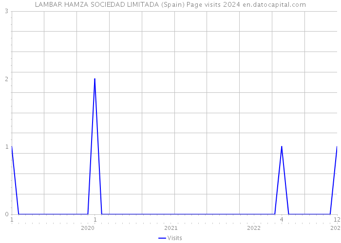 LAMBAR HAMZA SOCIEDAD LIMITADA (Spain) Page visits 2024 