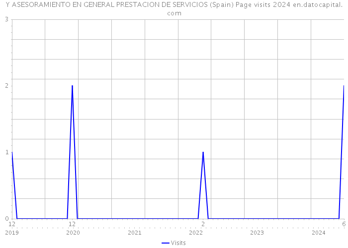 Y ASESORAMIENTO EN GENERAL PRESTACION DE SERVICIOS (Spain) Page visits 2024 